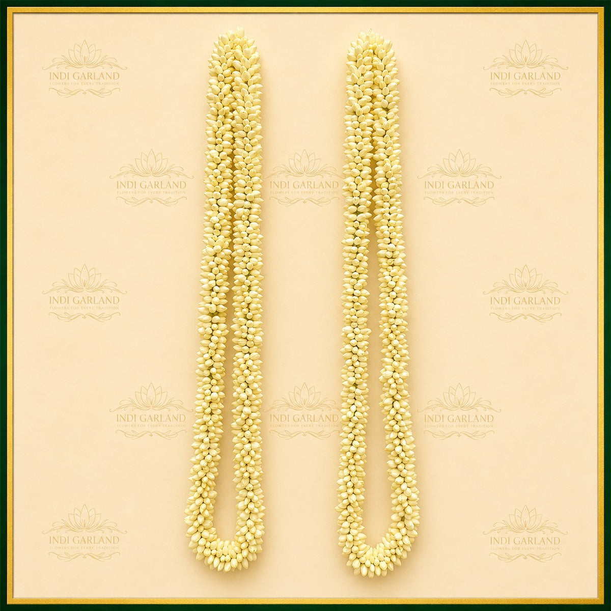 Gulzar Noor Mala – Set of 2 Kolkata Jasmine Fresh Floral Garlands